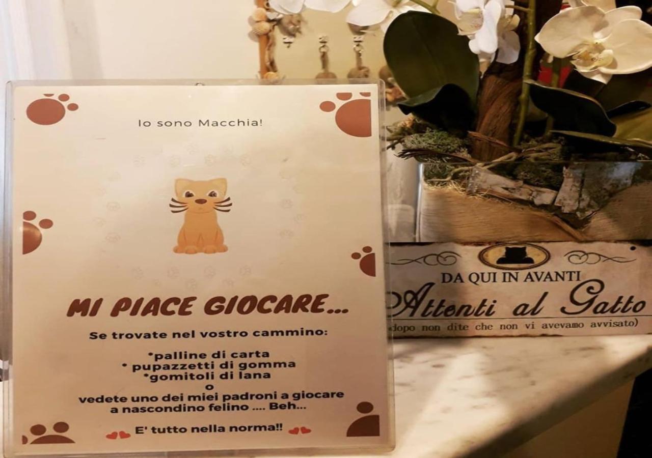 Storyville Business & Hotel Cinquale